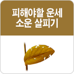 �ǿ�